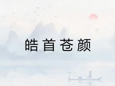 皓首苍颜