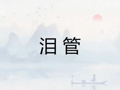 泪管