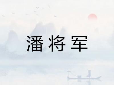 潘将军