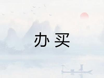 办买