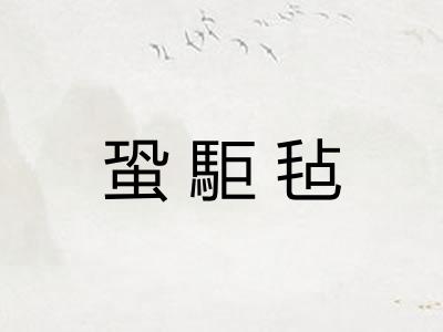 蛩駏毡