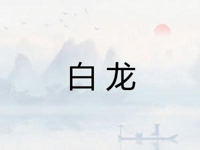 白龙