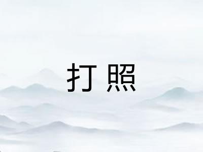 打照