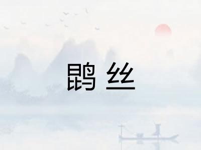 鹍丝