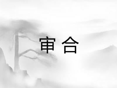 审合