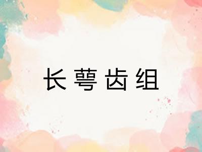 长萼齿组