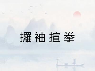 攞袖揎拳