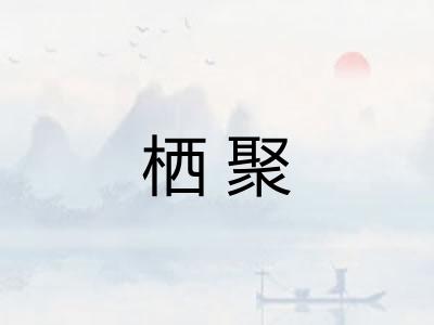 栖聚