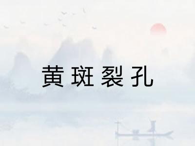 黄斑裂孔