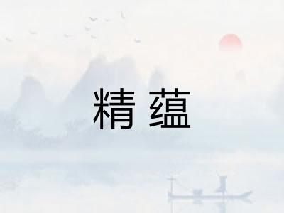 精蕴