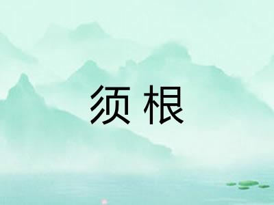 须根