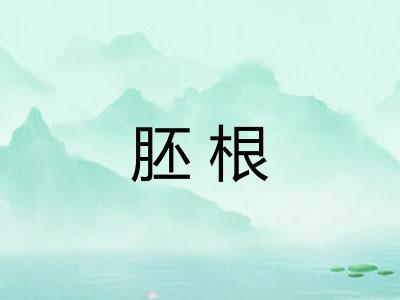 胚根