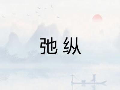 弛纵