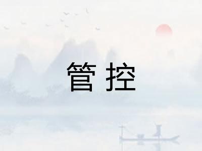 管控