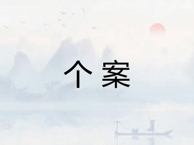 个案