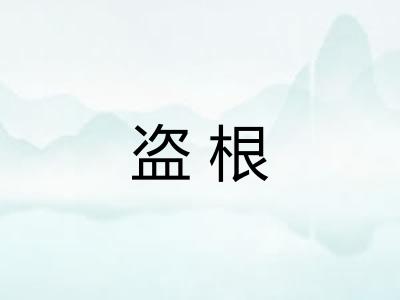 盗根