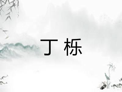 丁栎