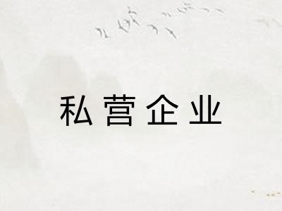 私营企业