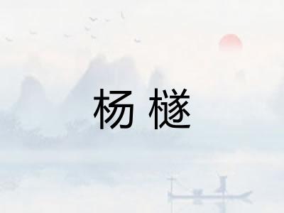 杨檖