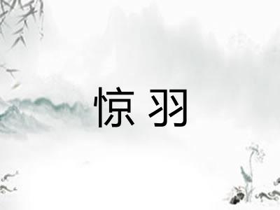 惊羽