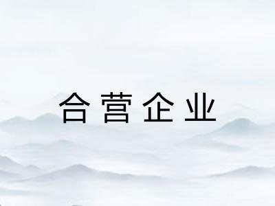 合营企业