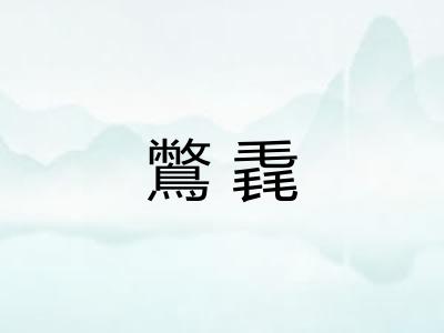 鷩毳