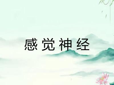 感觉神经