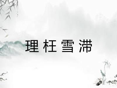 理枉雪滞