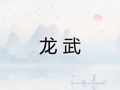 龙武