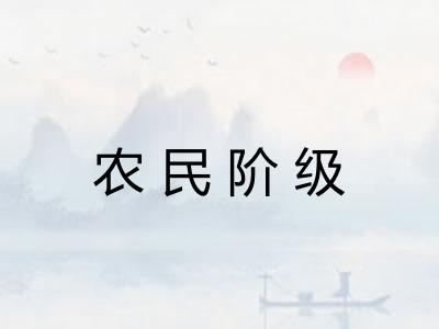 农民阶级