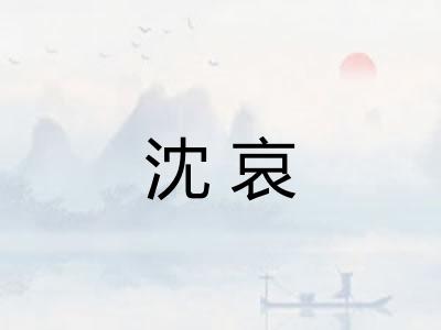 沈哀