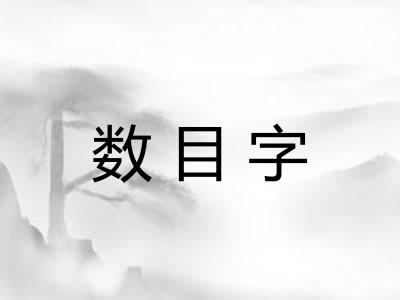 数目字