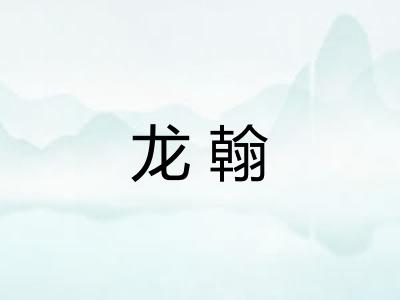 龙翰