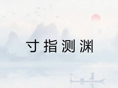 寸指测渊