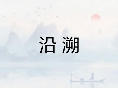 沿溯