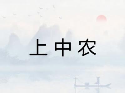 上中农