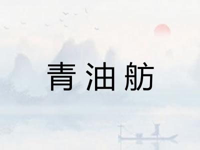 青油舫