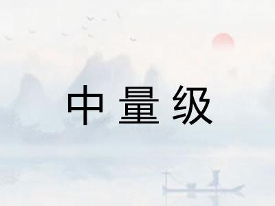 中量级