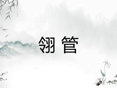 翎管