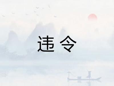 违令