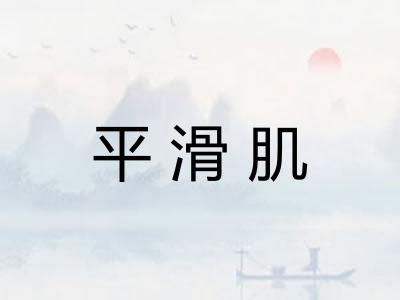 平滑肌