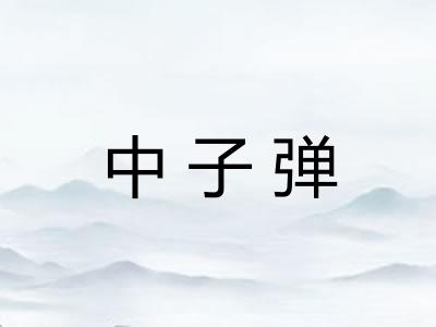 中子弹