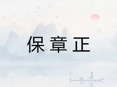 保章正