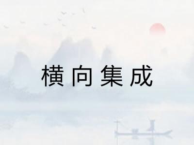 横向集成