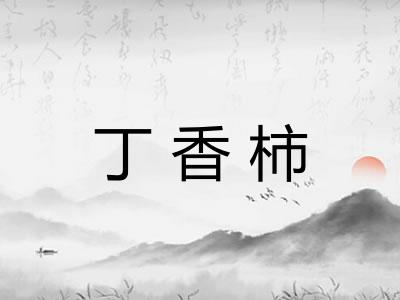 丁香柿