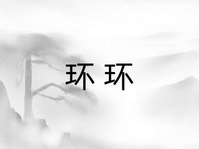 环环