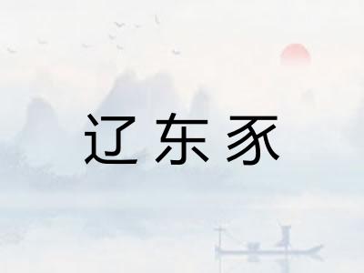 辽东豕