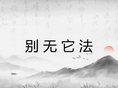 别无它法