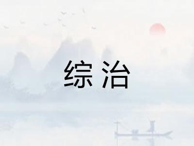 综治