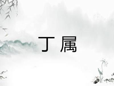 丁属